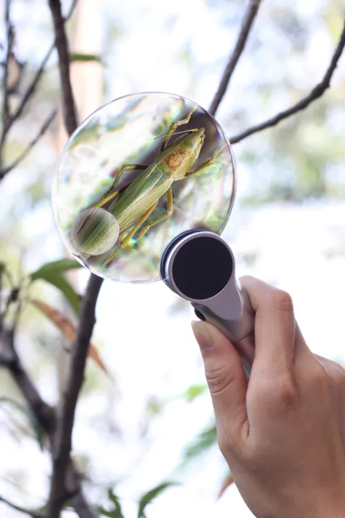 Fotografie  Levenhuk Zeno 400 LED-Lupe, 2/4x, 88/21 mm, Metall,  9