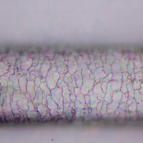 Fotografie MAGUS Pol D800 LCD Digitales Polarisationsmikroskop,  25