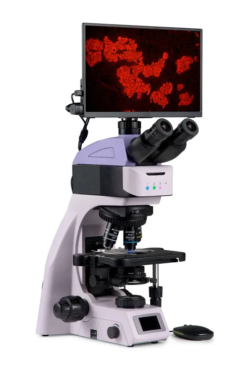 Bild MAGUS Lum D460L LCD Fluoreszenz-Digitalmikroskop,  3