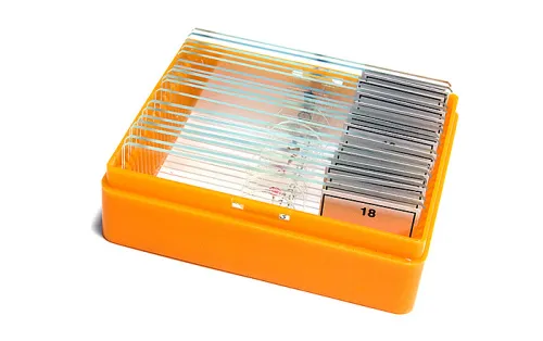 Fotografie Levenhuk N18 NG Objektträger-Set mit vorbereiteten Proben,  5