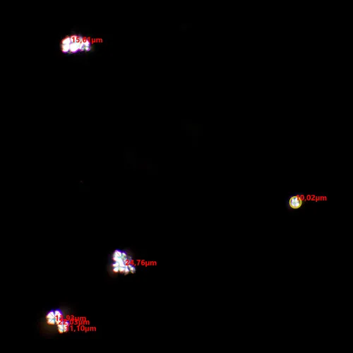 Bild MAGUS SPD2 Polarisator/Analysator-Set,  6