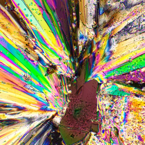 Bild MAGUS SPD1 Polarisator/Analysator-Set,  4