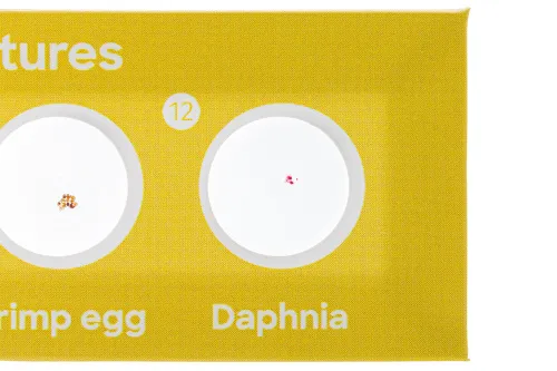 Foto Levenhuk Discovery Fauna – Präpariertes Lebewesen-Probenträgerset, 12 Stück,  7