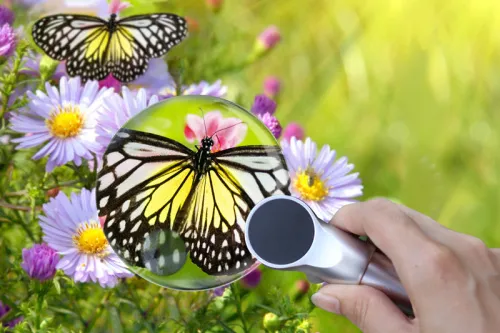 Fotografie  Levenhuk Zeno 400 LED-Lupe, 2/4x, 88/21 mm, Metall,  7