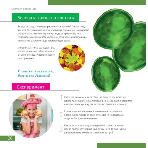 Bild Levenhuk Discovery Nano Mikroskop mit Buch,  7