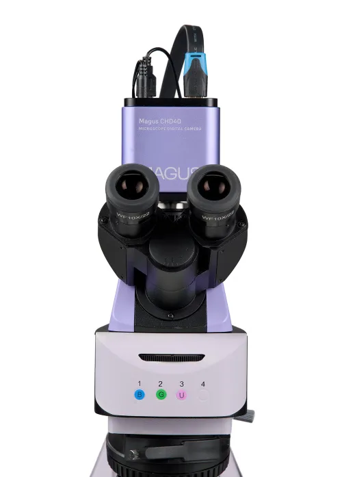 Bild MAGUS Lum D460L LCD Fluoreszenz-Digitalmikroskop,  11
