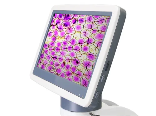 Abbildung Levenhuk-Digitalmikroskop D85L LCD,  7