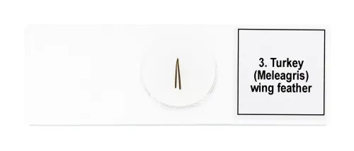 Fotografie Mikropräparate-Set Levenhuk Discovery Prof DPS 5. „Vögel“,  7