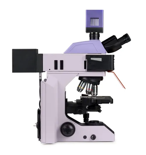 Bild MAGUS Lum D470L Fluoreszenz-Digitalmikroskop,  8