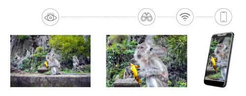 Fotografie Levenhuk Kelvin Snap ED 8x42 Digitales Fotofernglas,  9