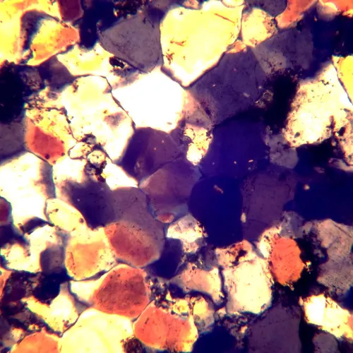 Abbildung MAGUS Pol 850 Polarisationsmikroskop,  22