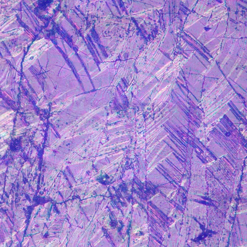 Foto MAGUS Metal V700 DIC Metallurgisches Inverses Mikroskop,  17