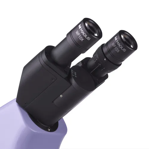 Abbildung MAGUS Bio 230B Biologisches Mikroskop,  12