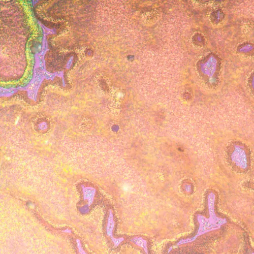 Foto MAGUS Metal V790 DIC Metallurgisches Inverses Mikroskop,  22