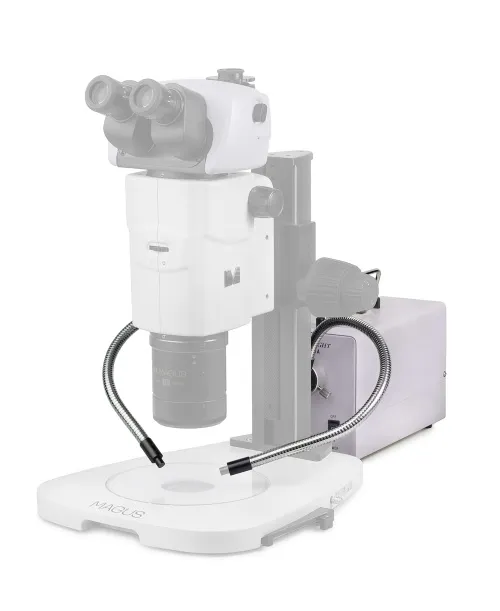 Foto MAGUS CLI18T Kaltlicht mit doppeltem Lichtleiter,  4