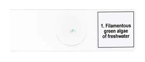 Foto Mikropräparate-Set Levenhuk Discovery Prof DPS 5. „Biologie“,  7