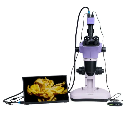 Abbildung MAGUS Stereo D9T LCD Stereomikroskop Digital ,  6