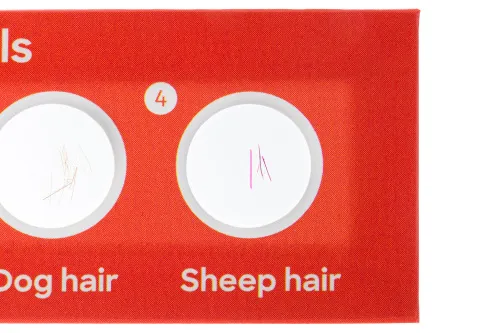 Foto Levenhuk Discovery Fauna – Präpariertes Lebewesen-Probenträgerset, 12 Stück,  4