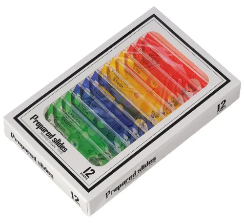 Abbildung Levenhuk-Digitalmikroskop Rainbow DM500 LCD,  12