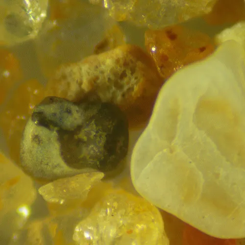 Bild MAGUS Stereo D9T Digitales Stereomikroskop,  25