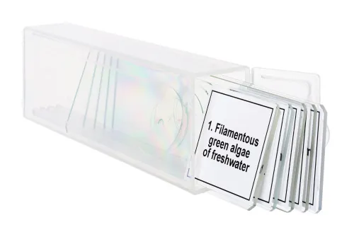 Foto Mikropräparate-Set Levenhuk Discovery Prof DPS 5. „Biologie“,  5