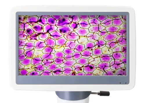 Abbildung Levenhuk-Digitalmikroskop D85L LCD,  6