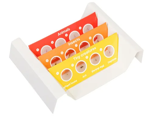 Foto Levenhuk Discovery Fauna – Präpariertes Lebewesen-Probenträgerset, 12 Stück,  2