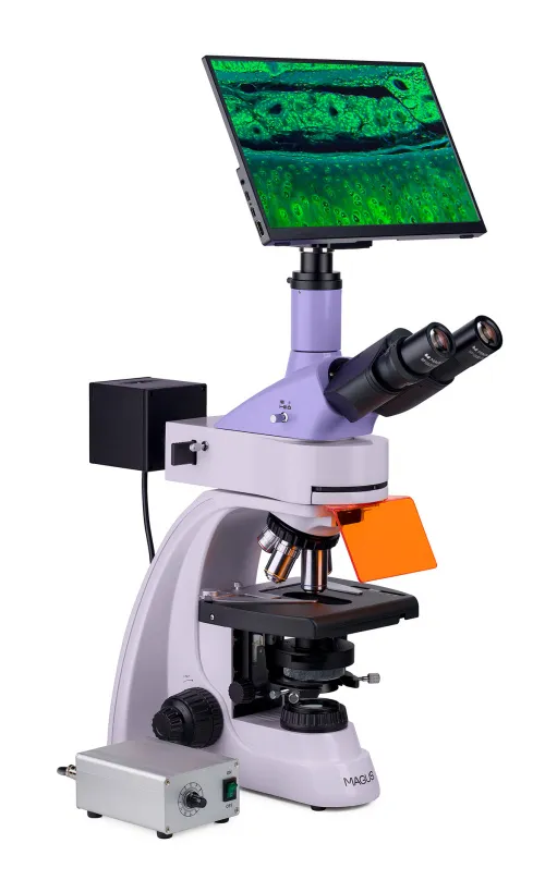 Abbildung MAGUS Lum D400L LCD Digitales Fluoreszenzmikroskop,  4
