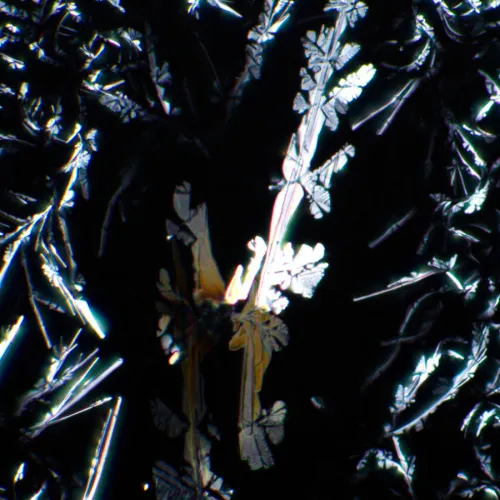 Bild MAGUS SPD1 Polarisator/Analysator-Set,  7