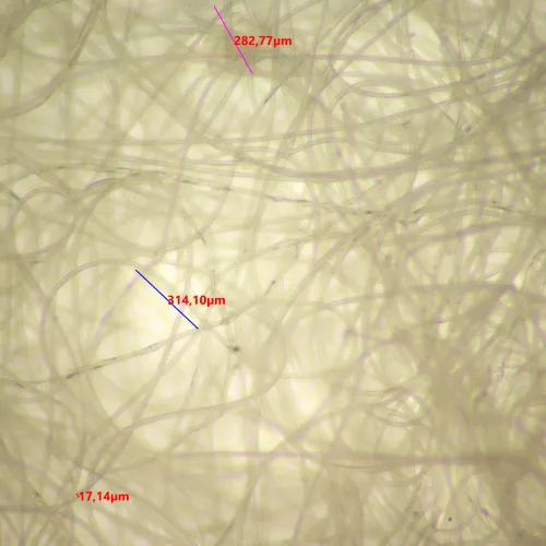 Bild MAGUS Stereo D9T Digitales Stereomikroskop,  24