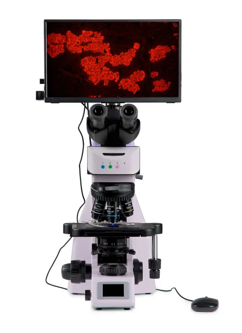 Bild MAGUS Lum D460L LCD Fluoreszenz-Digitalmikroskop,  9