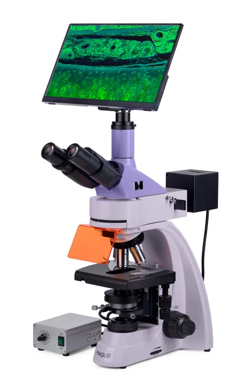 Abbildung MAGUS Lum D400L LCD Digitales Fluoreszenzmikroskop,  3