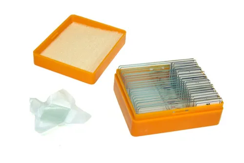 Bild Levenhuk N20 NG Objektträger-Set mit vorbereiteten Proben,  3