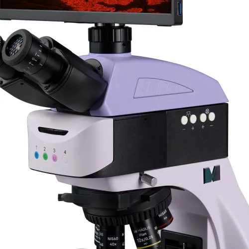 Bild MAGUS Lum D460L LCD Fluoreszenz-Digitalmikroskop,  13