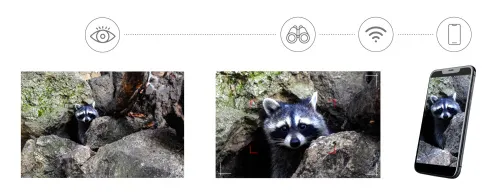 Fotografie Levenhuk Kelvin Snap ED 8x42 Digitales Fotofernglas,  6