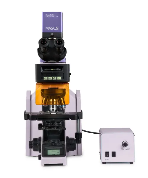 Bild MAGUS Lum D470L Fluoreszenz-Digitalmikroskop,  9